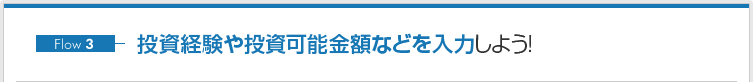 投資経験や投資可能金額などを入力しよう!