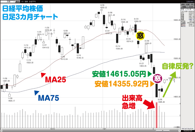 20140210kame_998407chart1