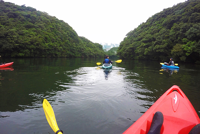 151001yakushima01