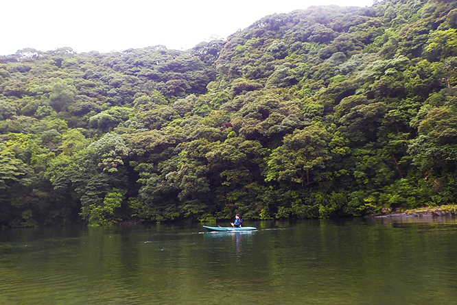 151001yakushima01