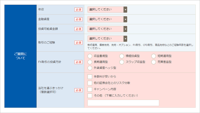 投資経験や投資可能金額などを入力しよう！