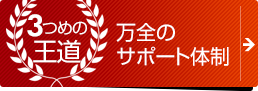 3つめの王道：万全のサポート体制