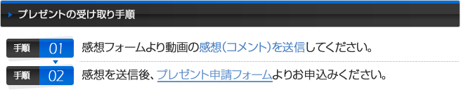 プレゼントの受け取り手順